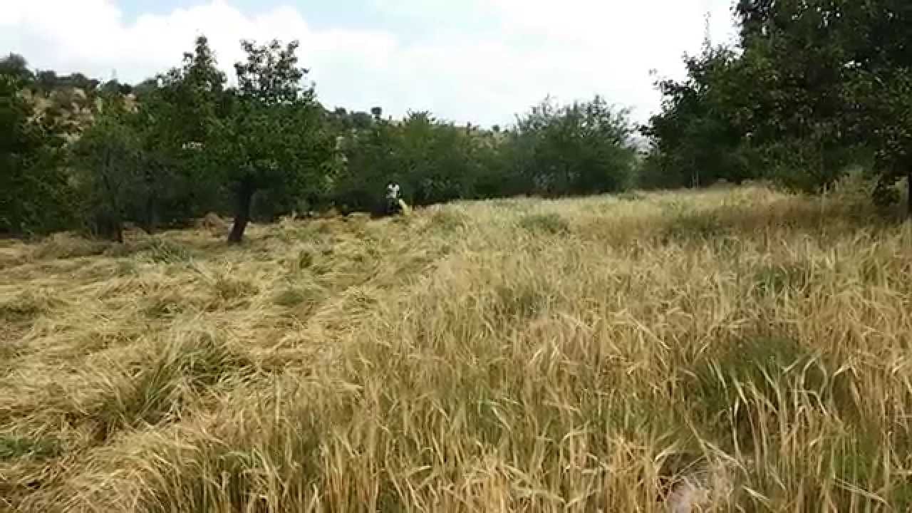 DİZEL ÇAYIR BİÇME MAKİNESİ YİNE TAŞKIN TARIM FARKIYLA
