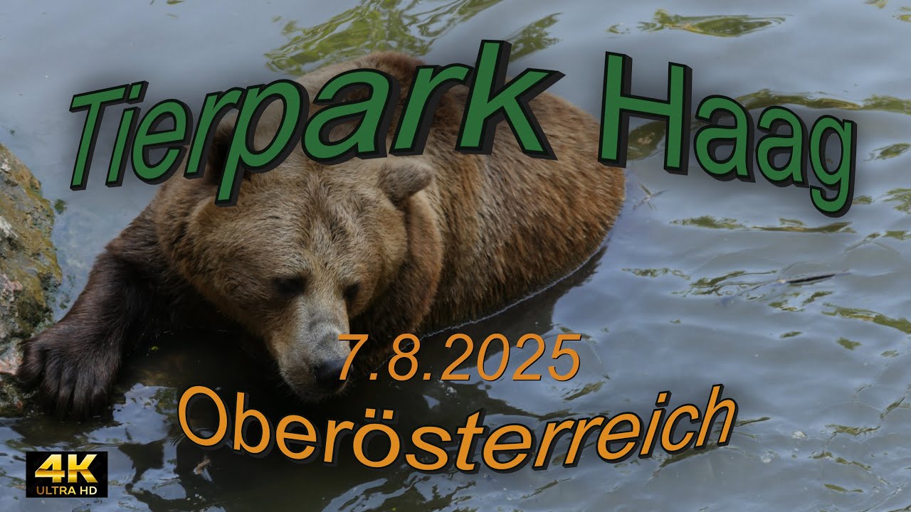 Tierpark Haag 7.8.2025