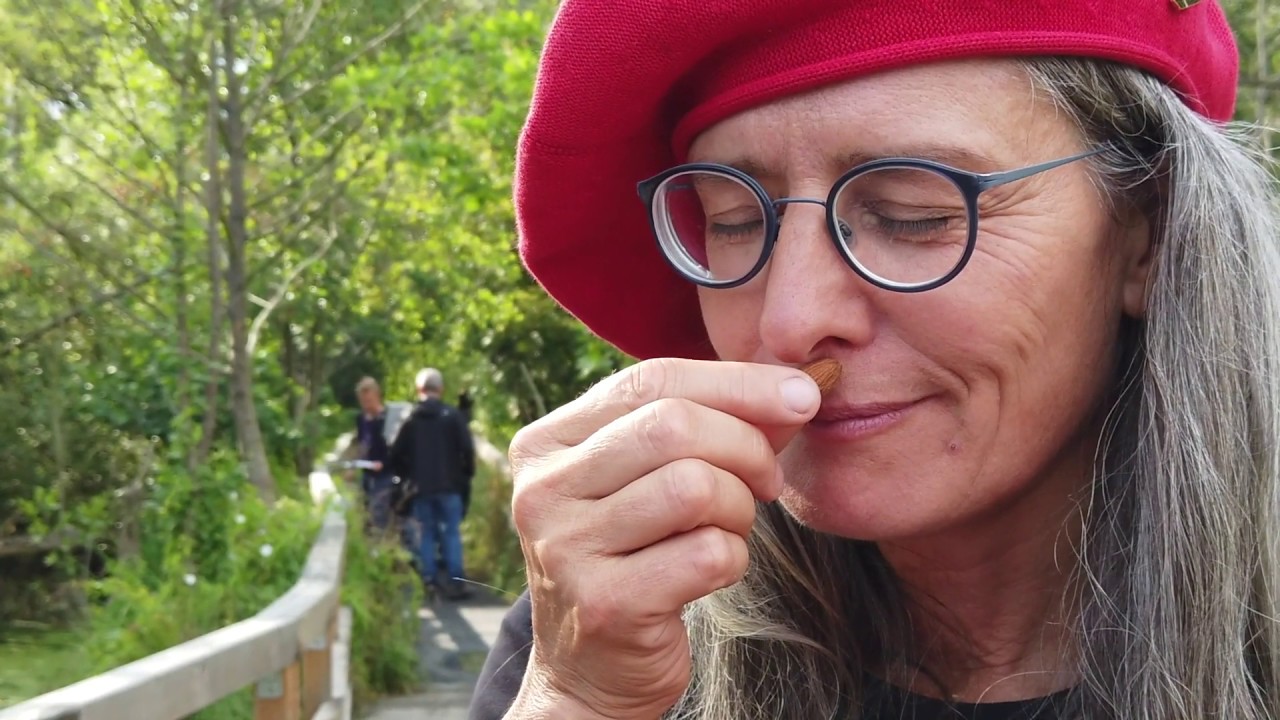 Dr. Kerstin Gernig | Shinrin Yoku | Waldbaden