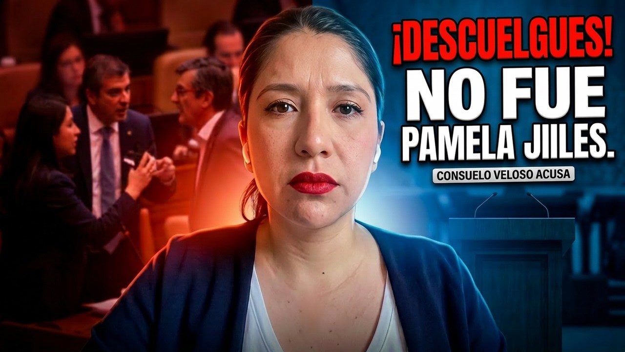 Diputada Consuelo Veloso: “La Cámara no se perdió por Pamela Jiles, sino por descuelgues”