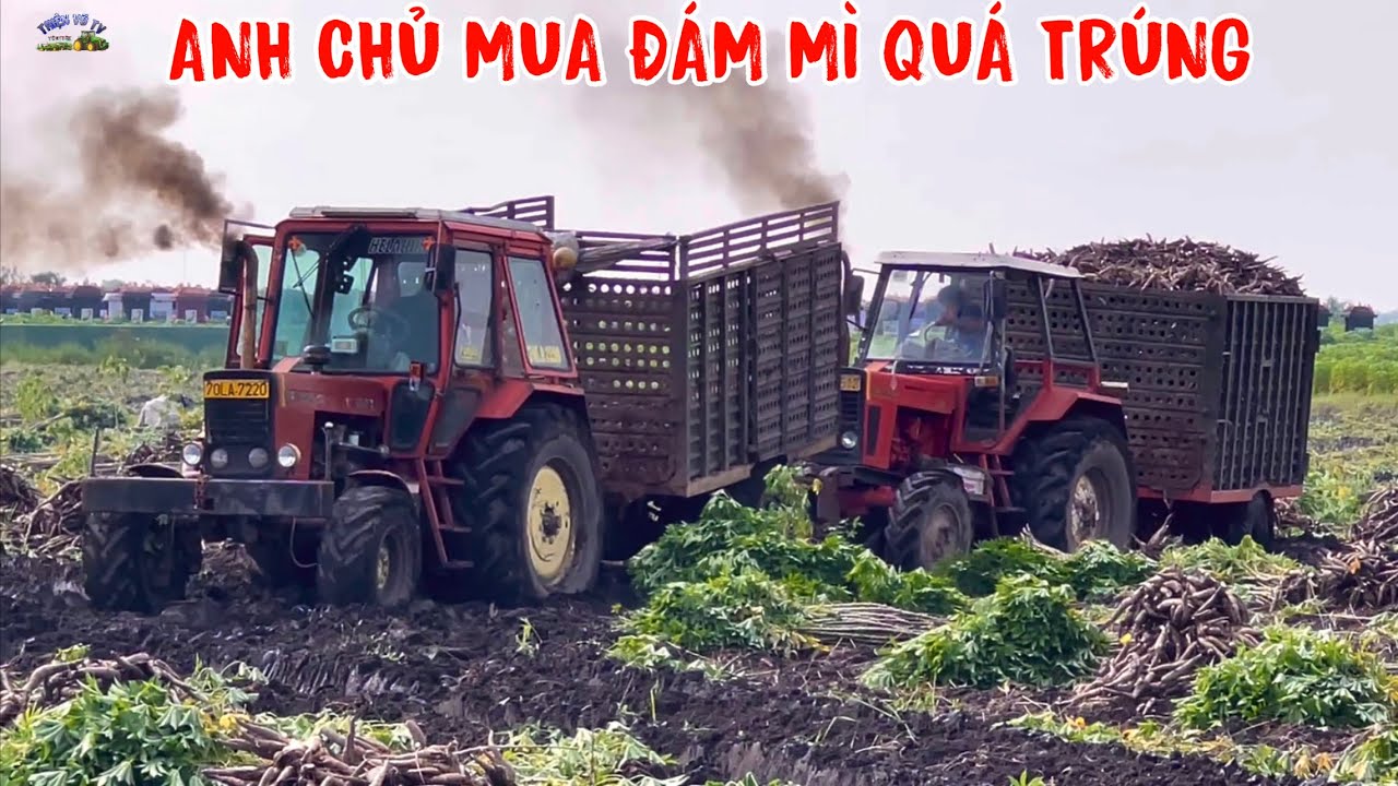 Anh em chở củ mì quá vất vả chỉ leo lên cái bờ mà cũng rất khó khăn