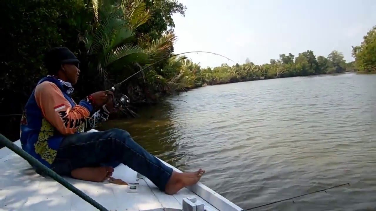 Fishing Fish Jenaha Into Small River in Region Salok Palai ~Saltwater Adventure Trip