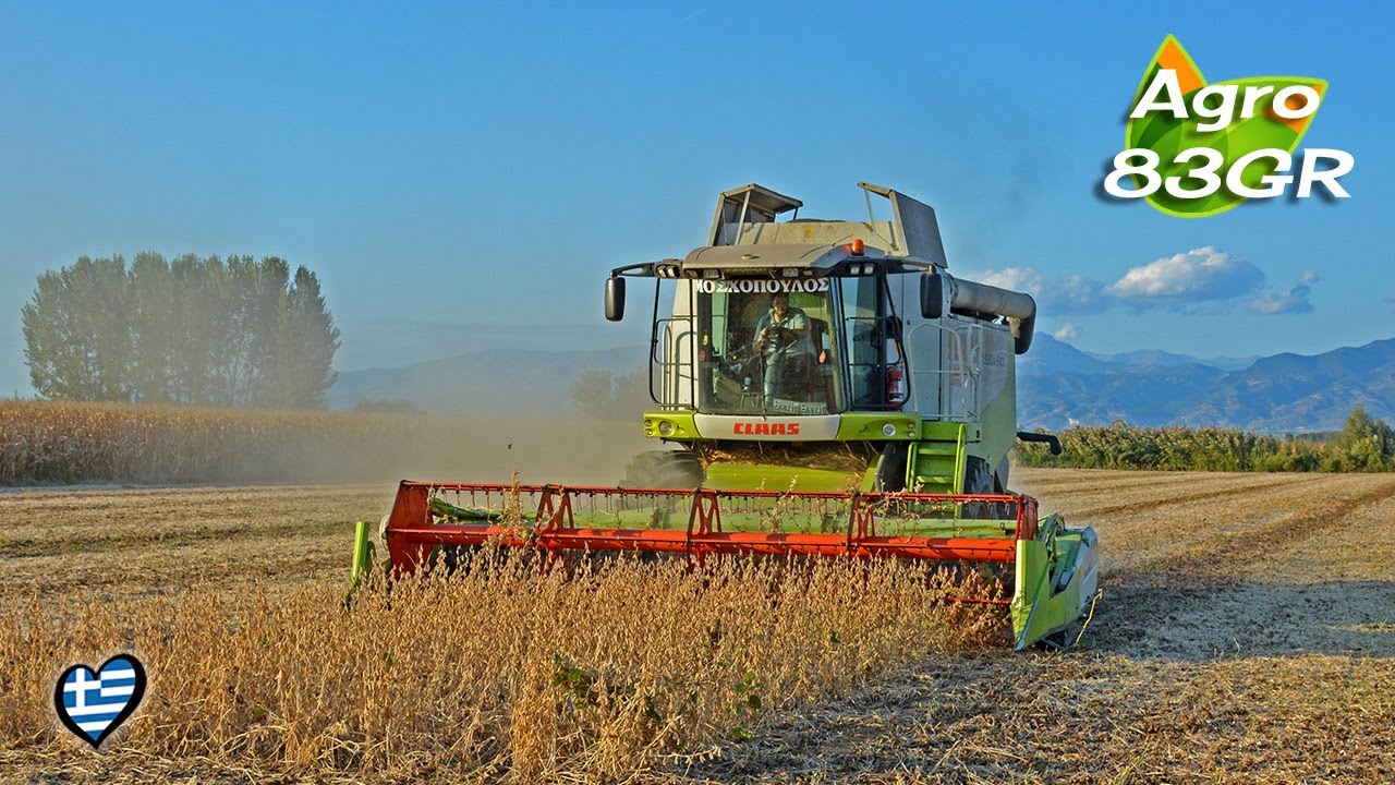 👑 Συγκομιδή Σόγιας 2020 - Soybeans harvest 💰