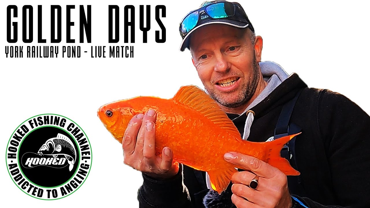 GOLDEN DAYS - LIVE MATCH FISHING AT YORK RAILWAY POND