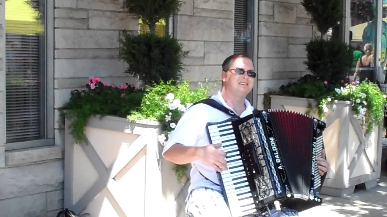 Freebird - accordion solo