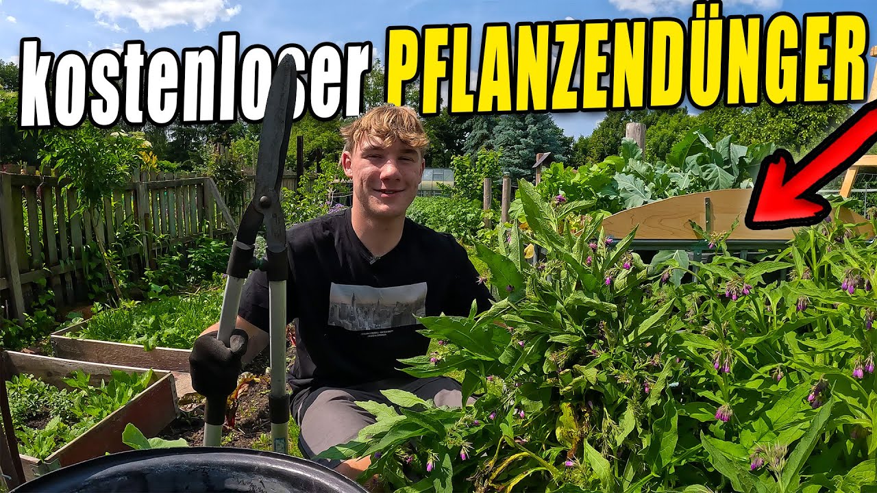 Super EINFACHER und GÜNSTIGER Pflanzendünger aus euren Garten !