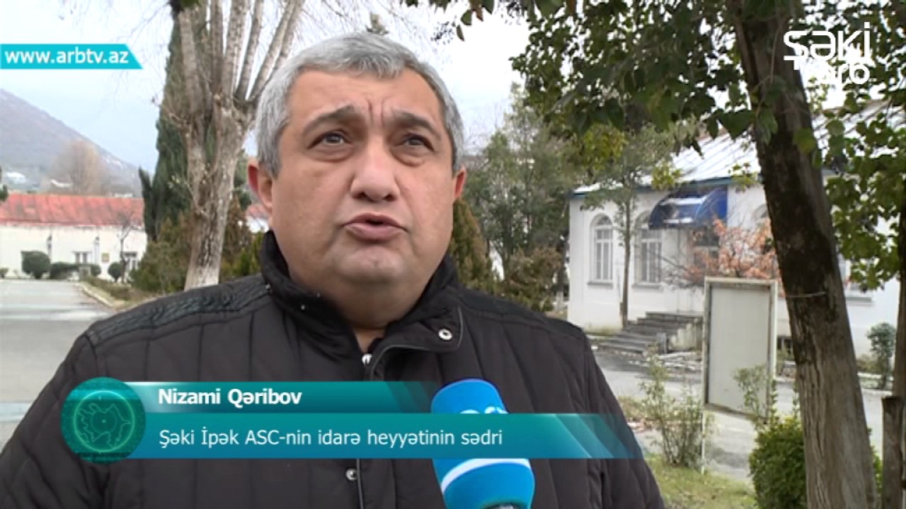 Sheki ipeyi evvelki sohretini qaytara biler