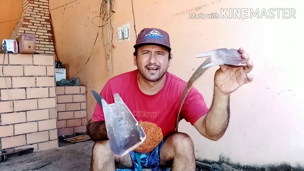 CAVALINHO DE TALO DE CARNAUBEIRA