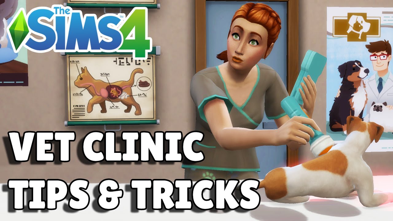 8 Vet Clinic Tips And Tricks For Success | The Sims 4 Cats & Dogs Guide