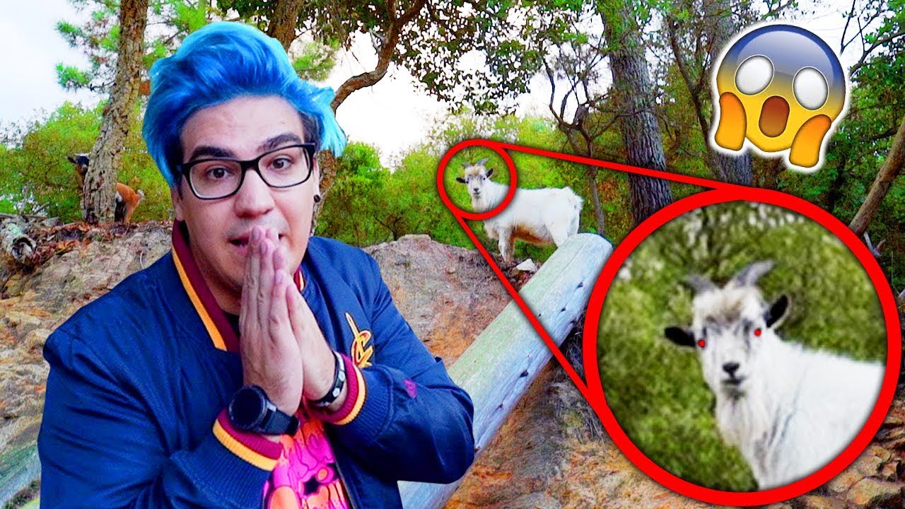 O QUE ACONTECEU COM O MEU CABRITO ?