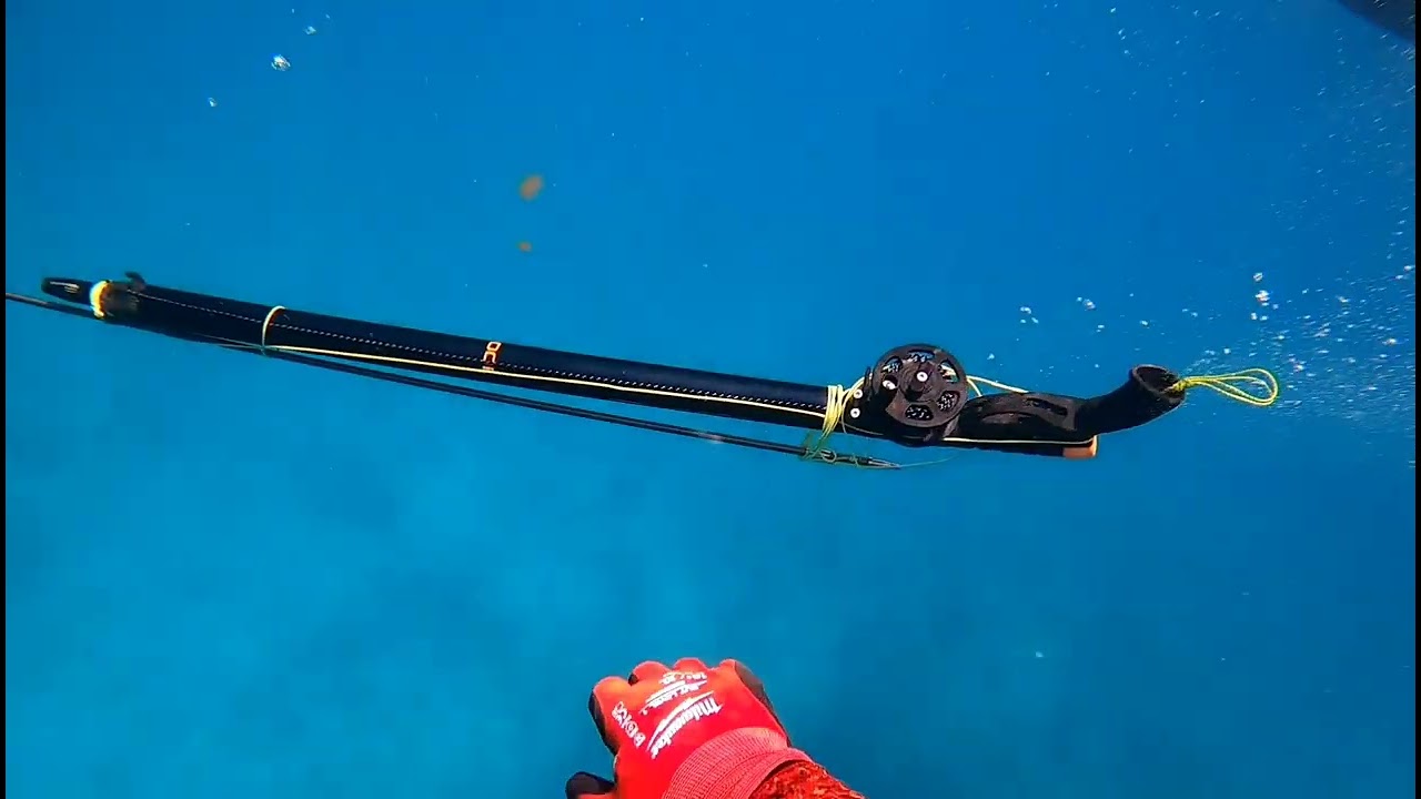 pesca submarina en key west mayo 2023