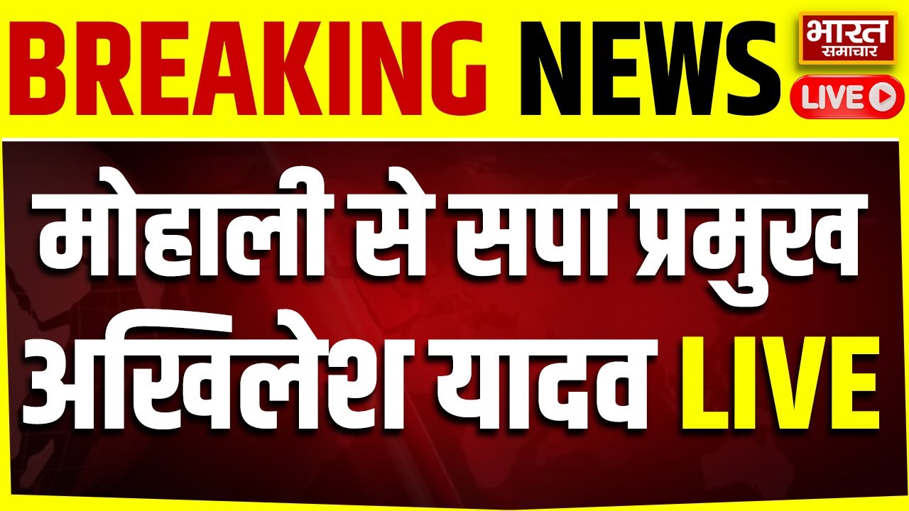 🔴LIVE: अचानक मोहाली क्यों पहुचे सपा प्रमुख अखिलेश यादव? | Punjab | Mohali | Samajwadi Party |