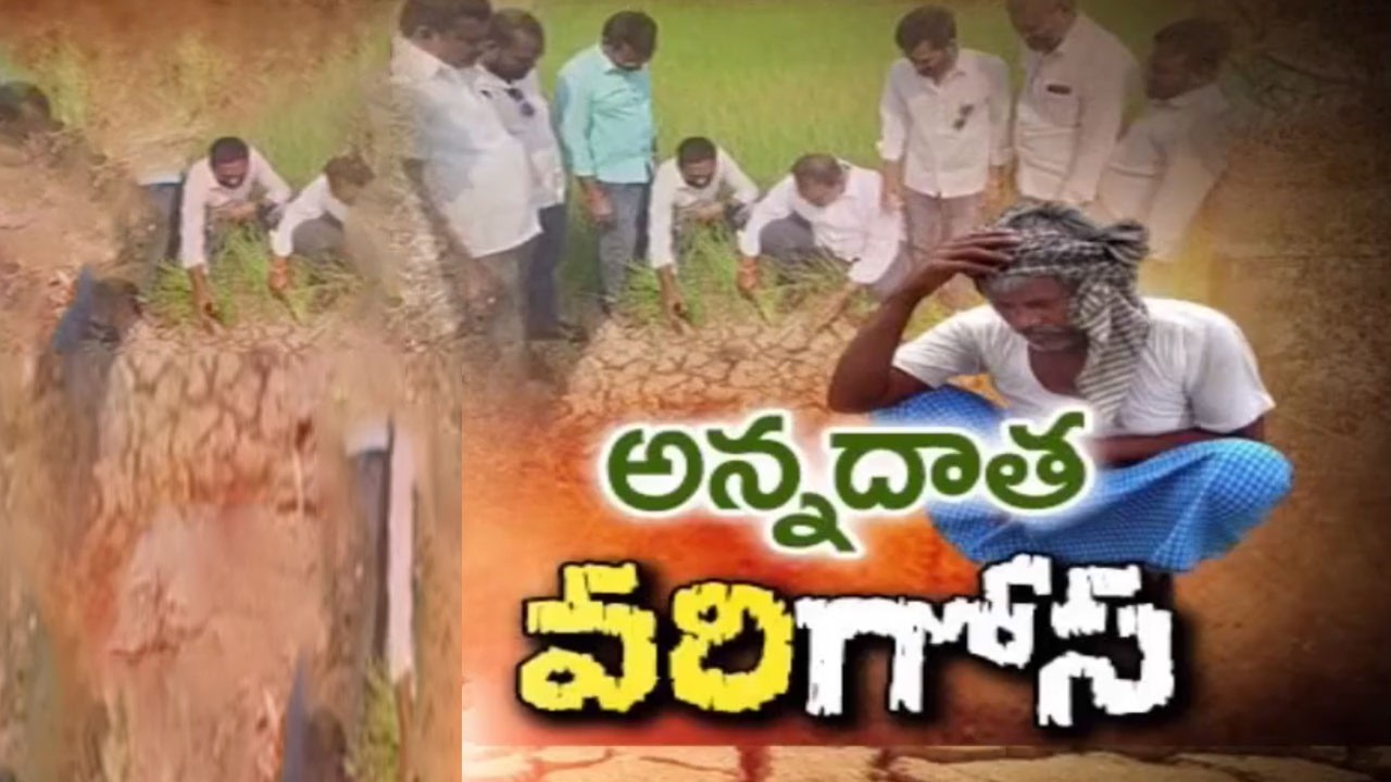 అన్నదాత వరిగోస | Farmers Face Huge Loss Due To Ground Water Shortage | Karimnagar || TV5 News