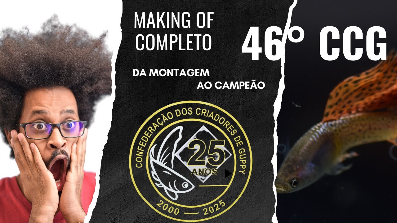 Guppy de linhagem na exposição da 46°CCG, veja como funciona um campeonato de guppy!!!!!