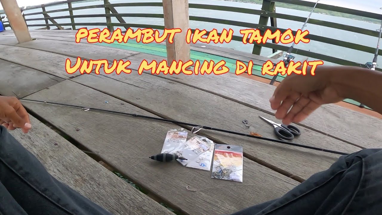 CARA BASIC PERAMBUT IKAN TAMOK ATAU LOBAN UNTUK MANCING DI RAKIT