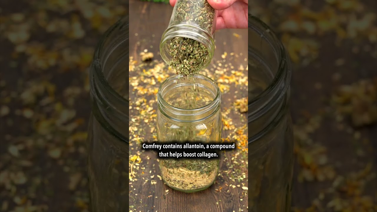 DIY Blueberry Infused Oil