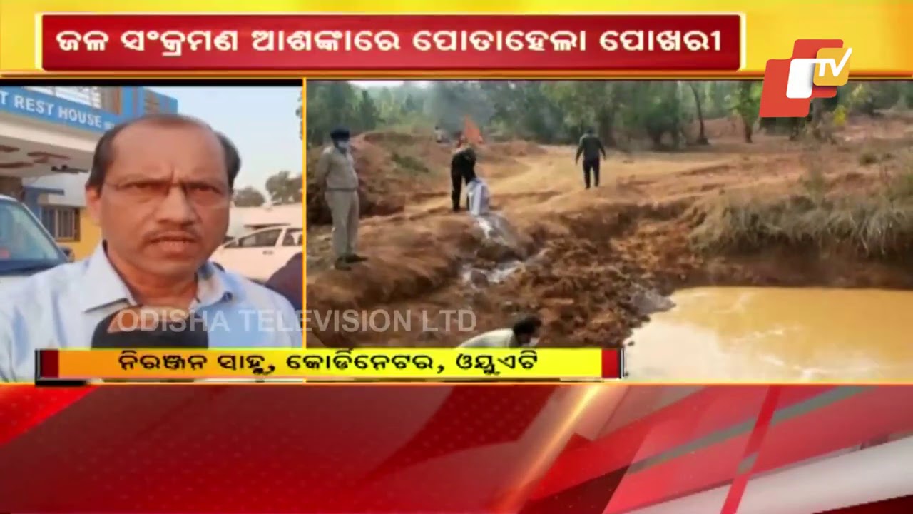 5 Elephants Die Within 13 Days In Karlapat Wildlife Sanctuary