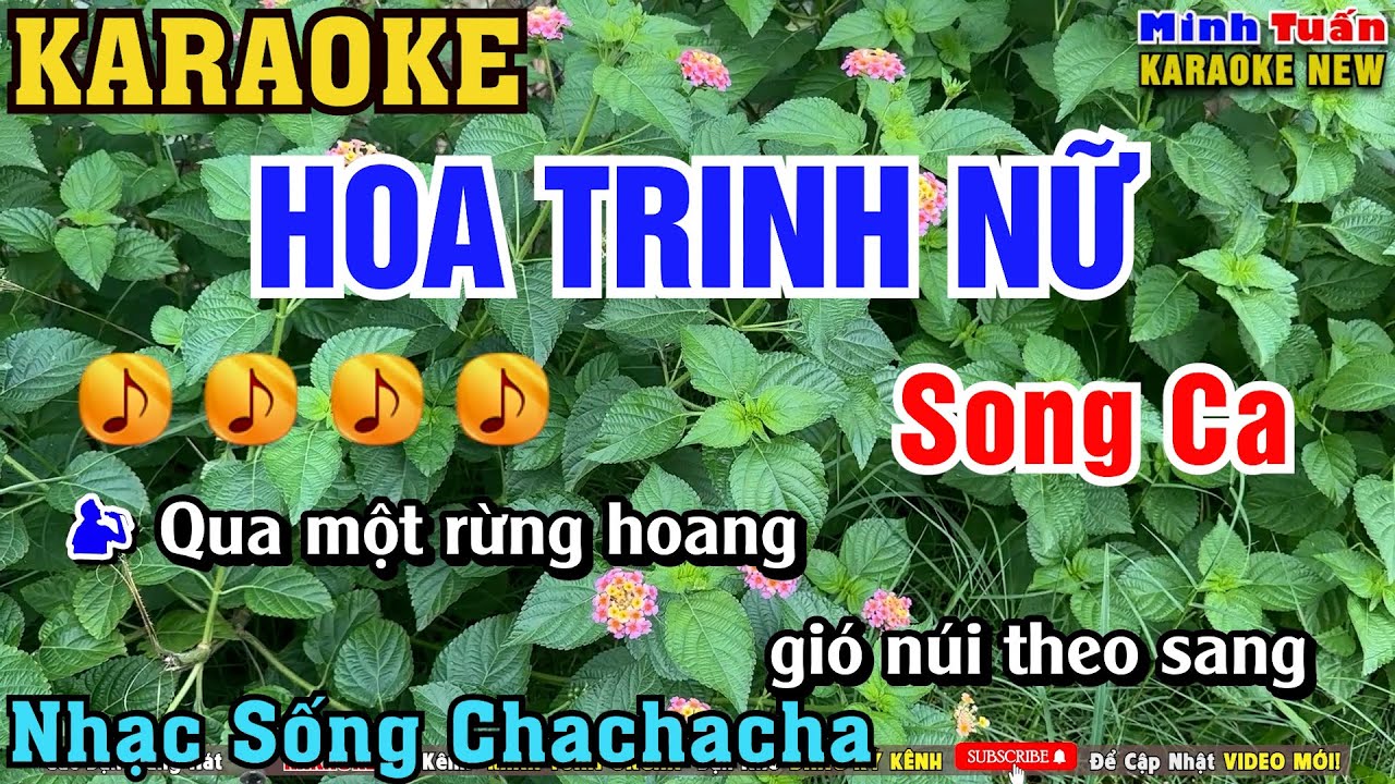 Karaoke Hoa Trinh Nữ Song Ca - Nhạc Sống ChaChaCha