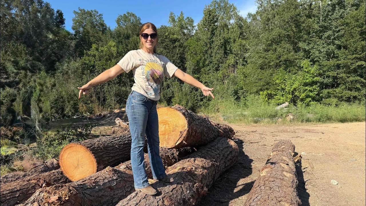 You won't BELIEVE how much these LOGS COST!!!