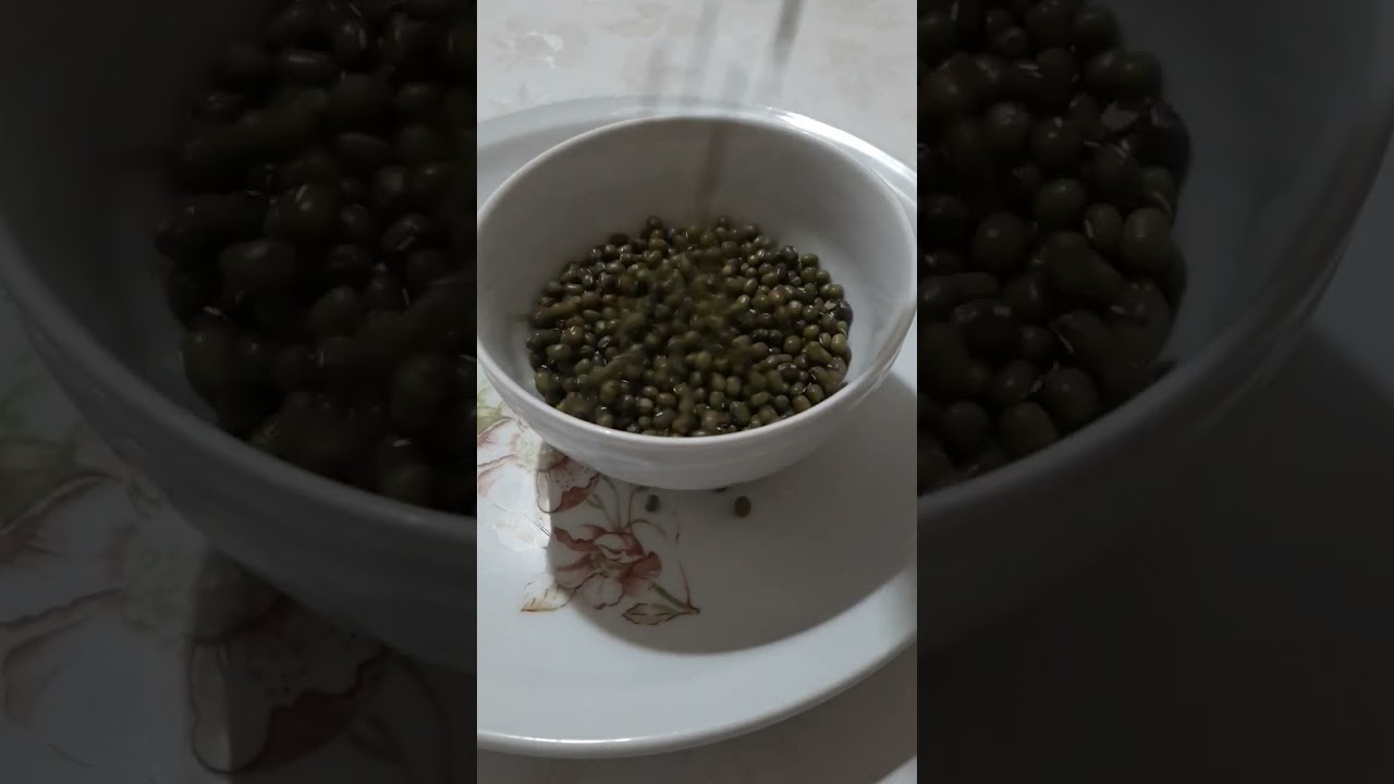 Green seeds #mungbeans