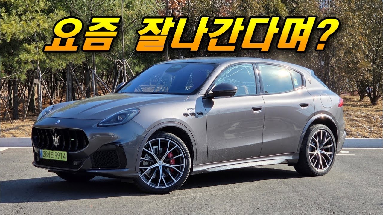 한국에서 99% 성장? 그레칼레로 이유를 찾았습니다!
