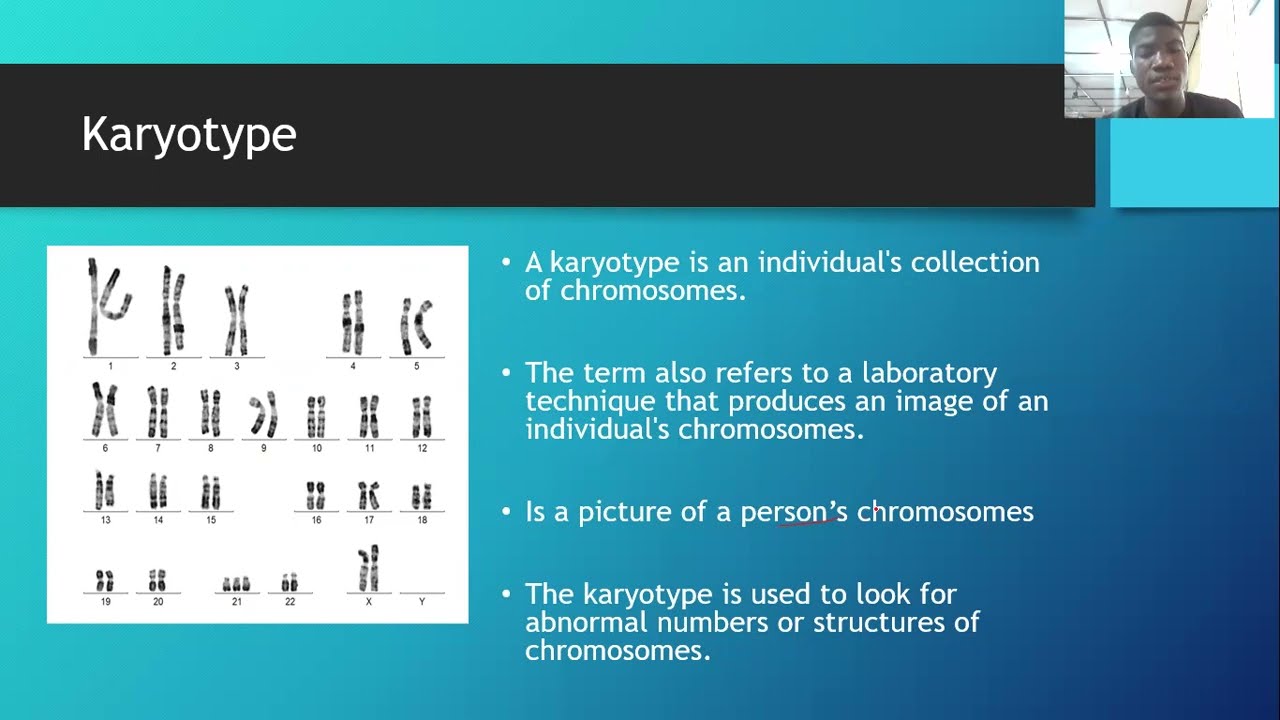 Karyotyping and Ideogram