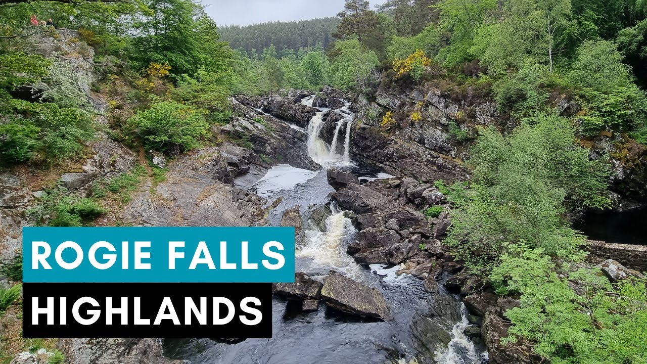 ROGIE FALLS - Must Visit WATERFALL On NC500 - Scotland Walking Tour | 4K | 60FPS