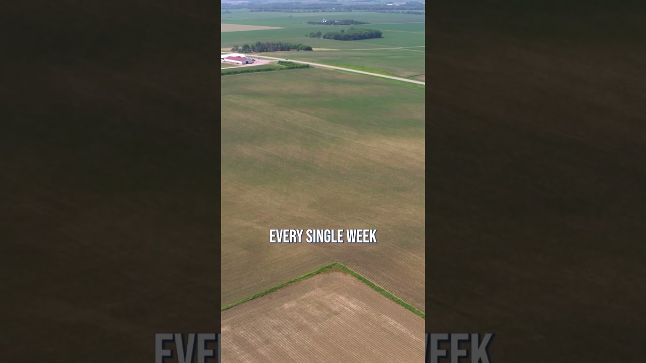Check out satellite imagery to help scout your fields.