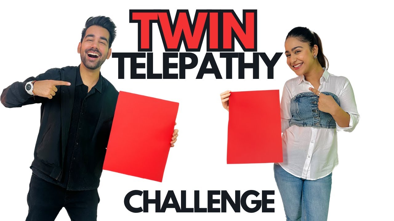 TWIN TELEPATHY Challenge | Rimorav Vlogs