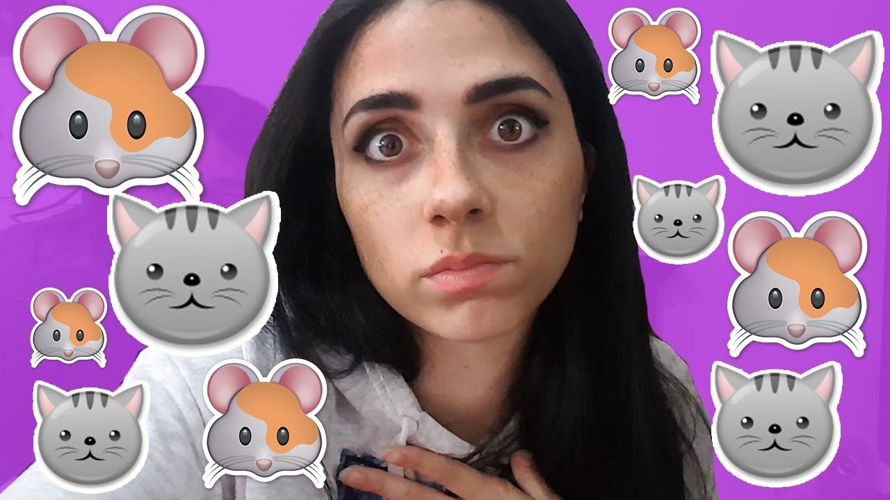 EVDE 10 HAYVAN BESLEMEK! 🐹 | Gine domuzu ve Kediler