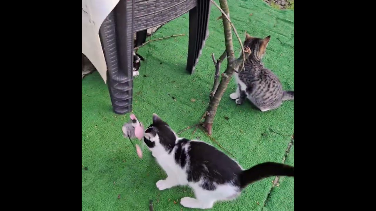 Benim eğlencelerim 😀😃