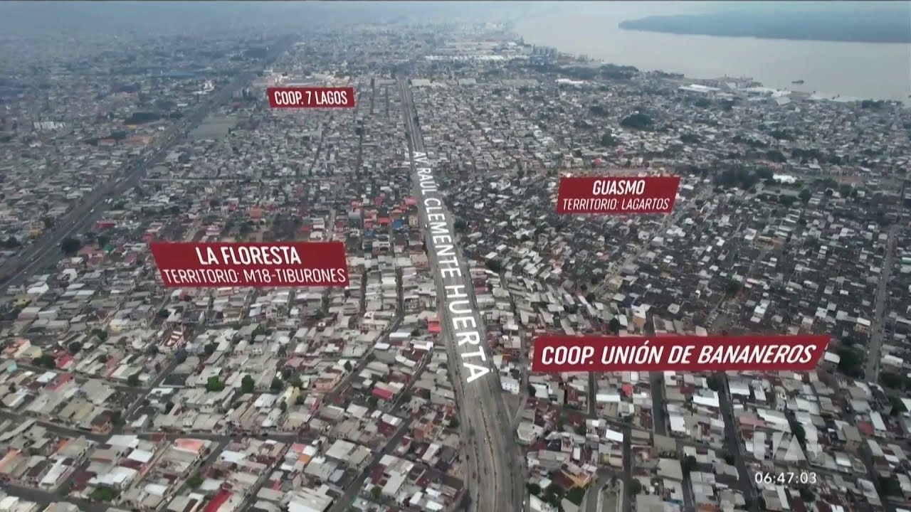 Las bandas terroristas Mafia 18, Tiburones y Lagartos se disputan el sur de Guayaquil