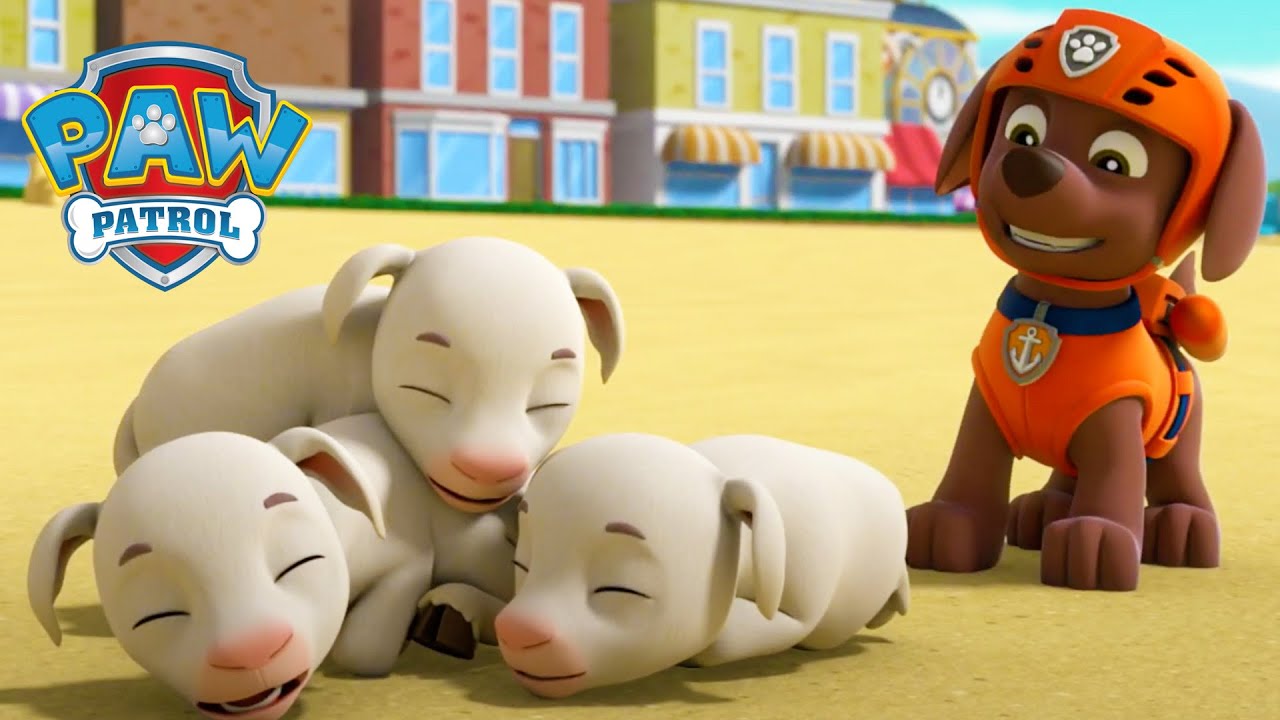Ovelhas com sono! - Patrulha Canina PAW Patrol - Desenhos animados para crianças