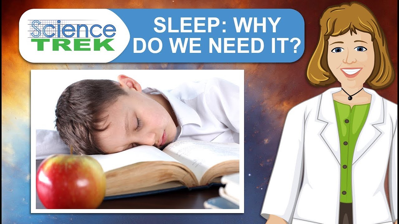 Sleep: Why Do We Need It? | Science Trek