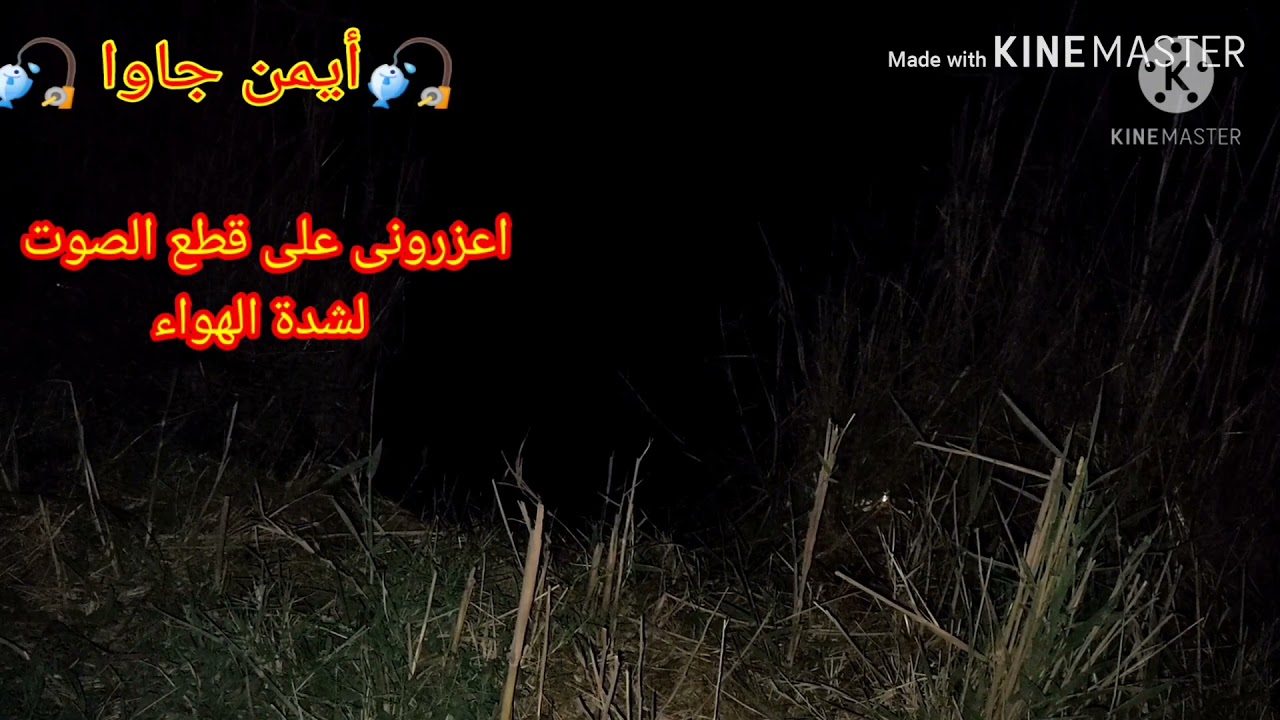 @aymangawa137 صيد غلة وأدوار  علف لصيد الليل صيد بلطى فى نفس الايام
