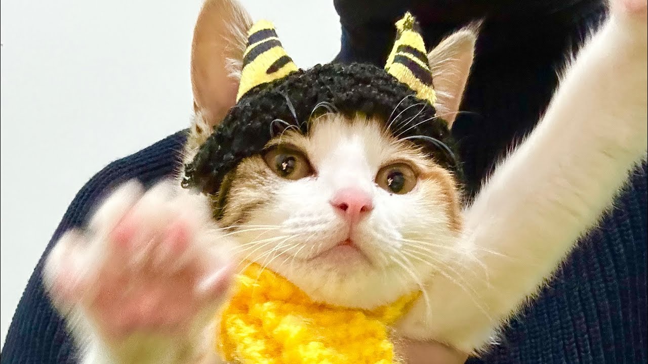 うみ にマフラーを編んだよ