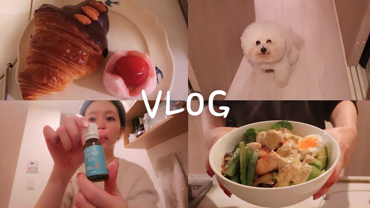 ３０代独身女の日常VLOG｜Friday night routine🌝｜高タンパク質ごはん,自炊記録,おすすめスキンケア
