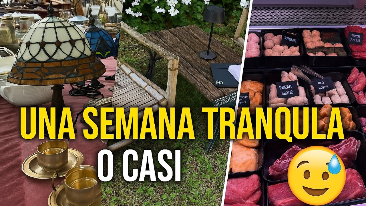 ¡No creerás todo lo que encontré en el mercadillo.Tenemos un problema! 