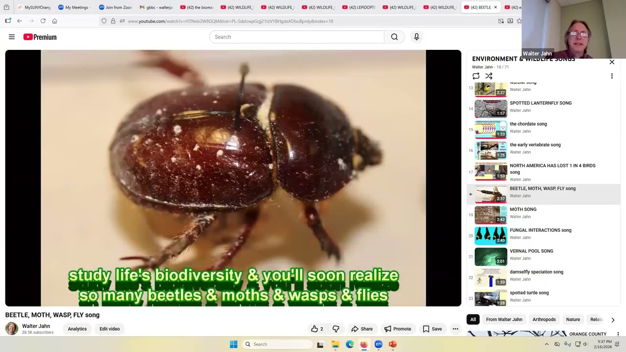 INSECT DIVERSITY & THE INSECT APOCALYPSE