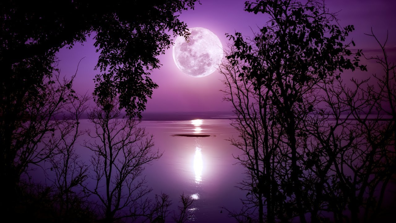 Healing Sleep Music ★︎ Mind and Body Rejuvenation ★︎ Black Screen, Fall Asleep Fast, Delta Waves
