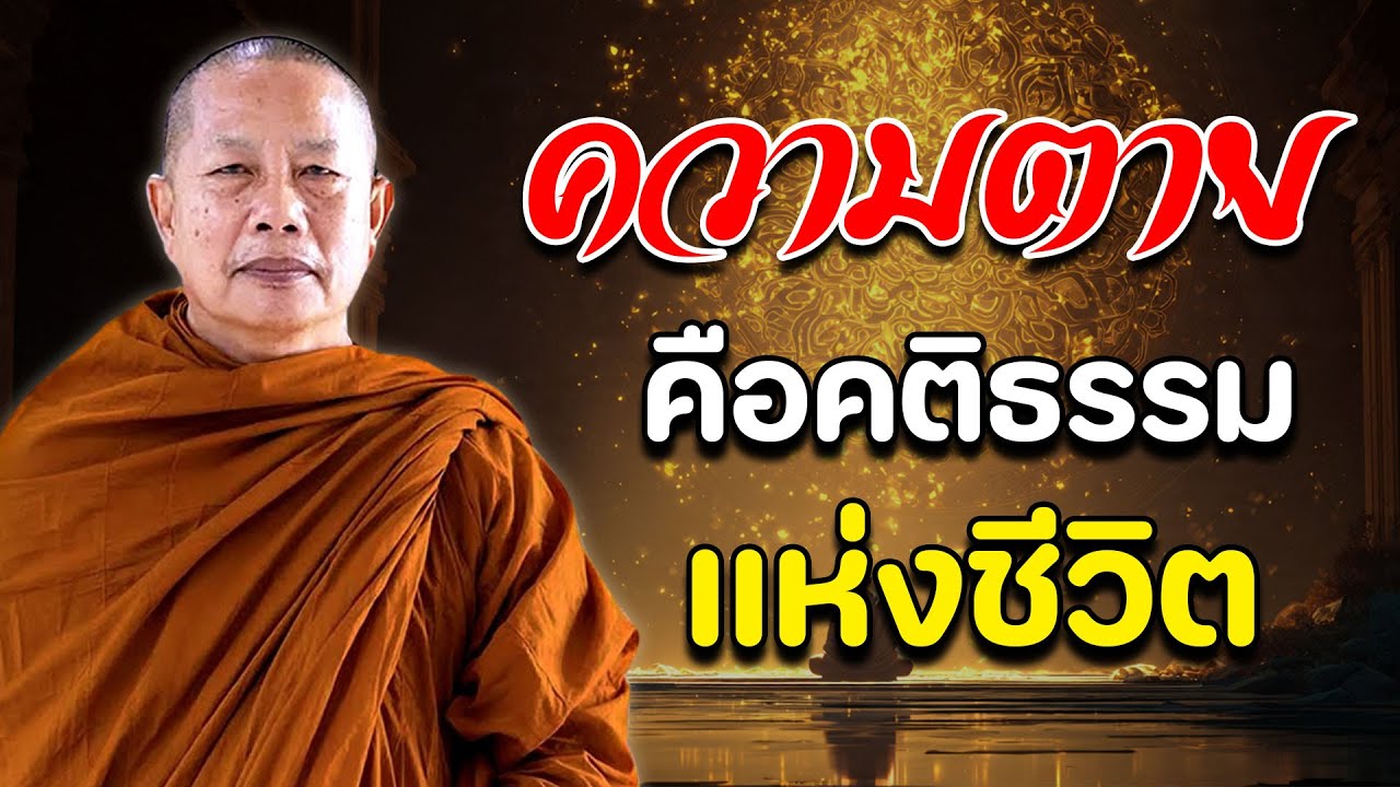 ความตายคือคติธรรมแห่งชีวิต #ธรรมมะก่อนนอน #พระมหาบุญช่วยปัญญาวชิโร