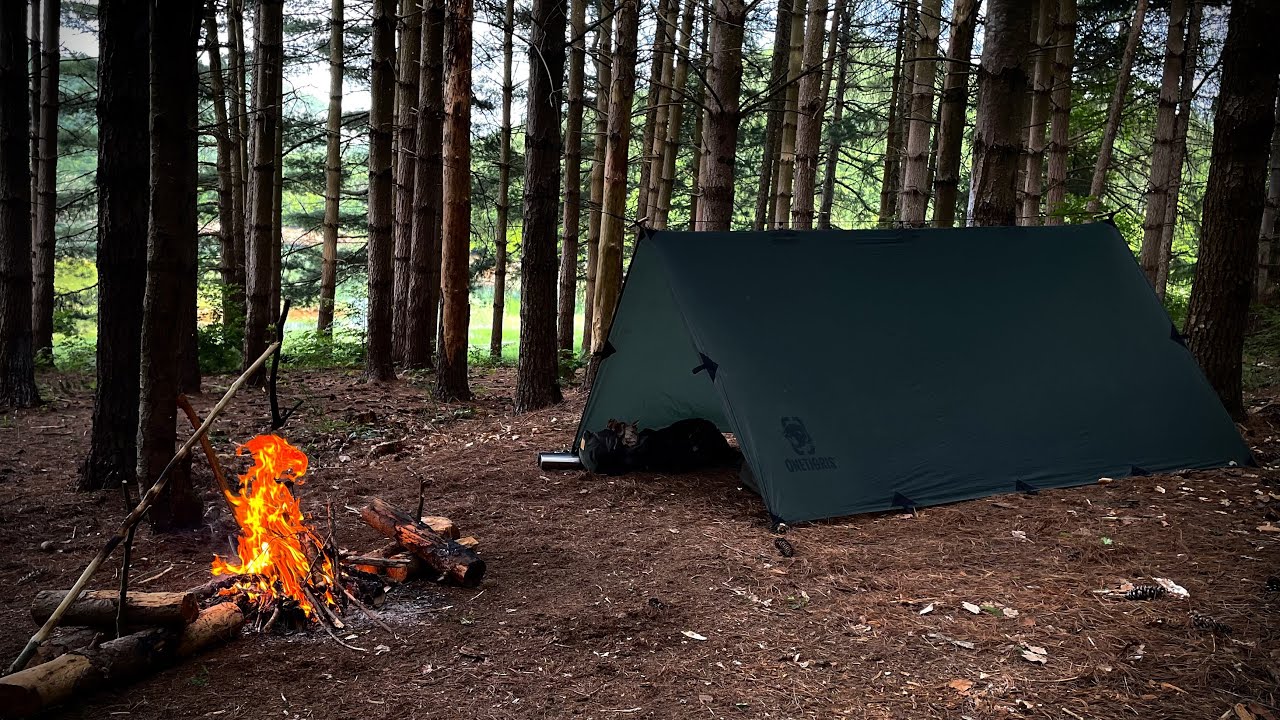 2 DAYS Solo Overnight | Spring Camping under a Tarp A-Frame Survival Shelter-Bushcraft  Skils - ASMR