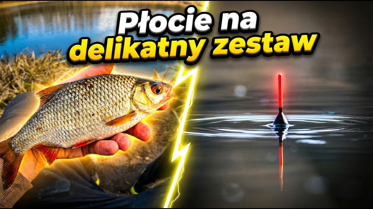 WIOSENNE łowienie PŁOCI na delikatny SPŁAWIK