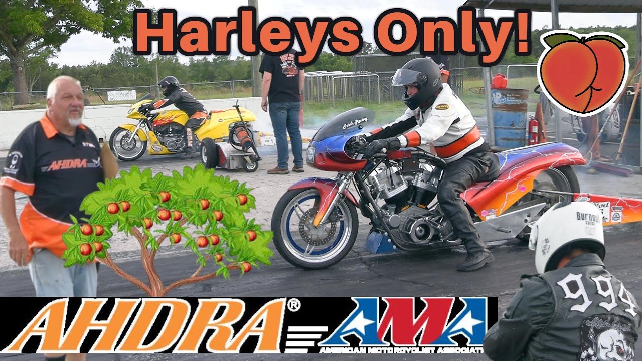 All Harley Drags! Georgia Peach Nationals AHDRA 2025!