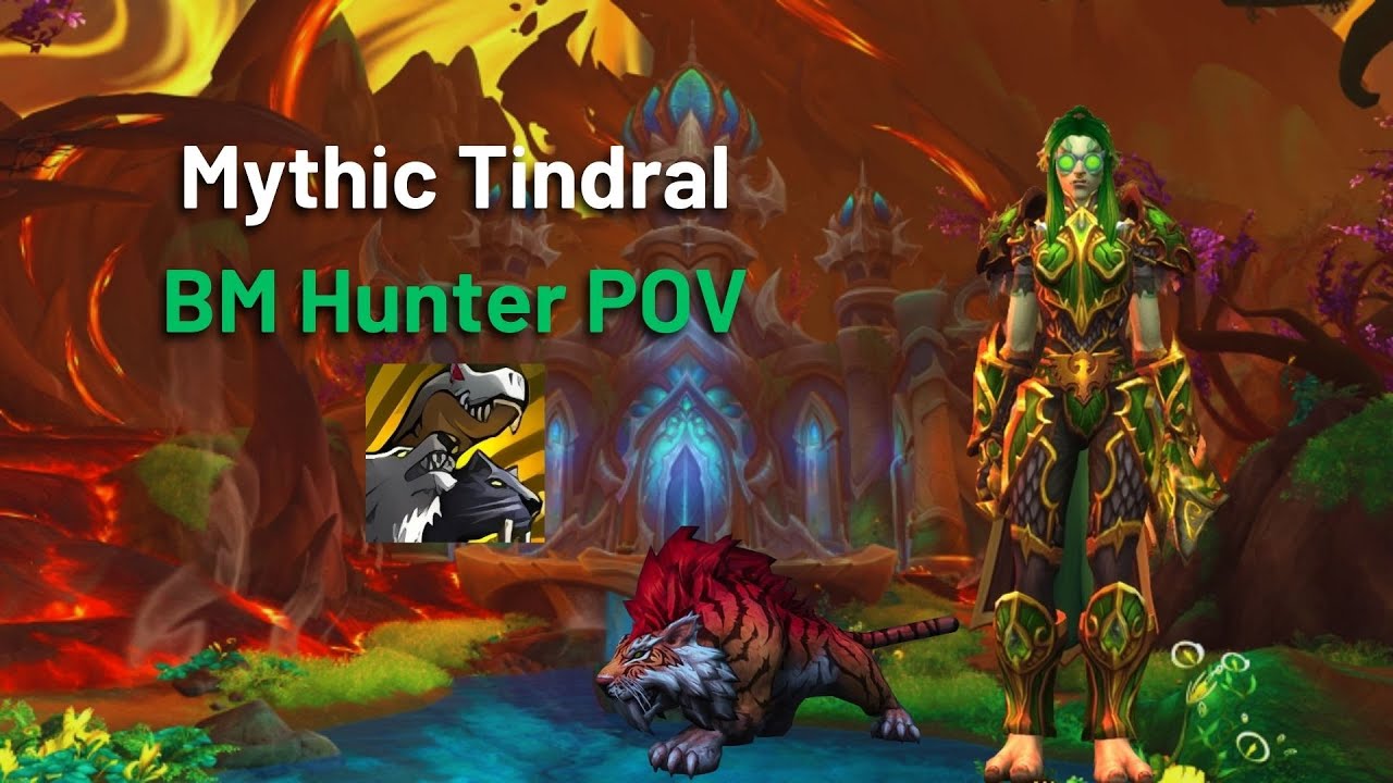 Mythic Tindral | BM Hunter POV | Amirdrassil, the Dream's Hope | Beast Mastery Hunter