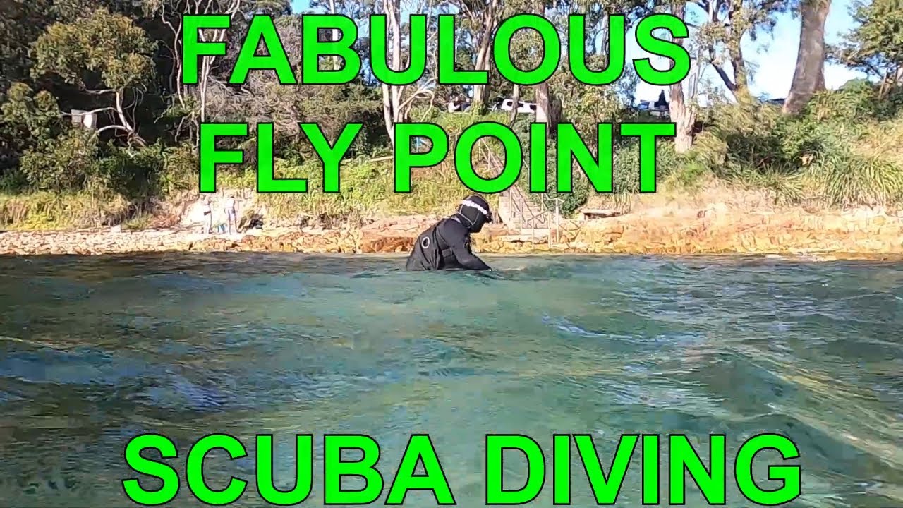 FABULOUS FLY POINT SCUBA DIVING