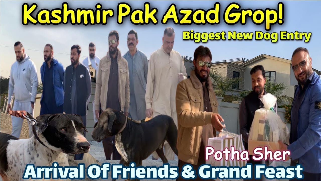 Biggest New Dog Entry & Friends Gathering | Grand Feast At ch. Fazaal & Brothers. Potha Sher🦮🐕
