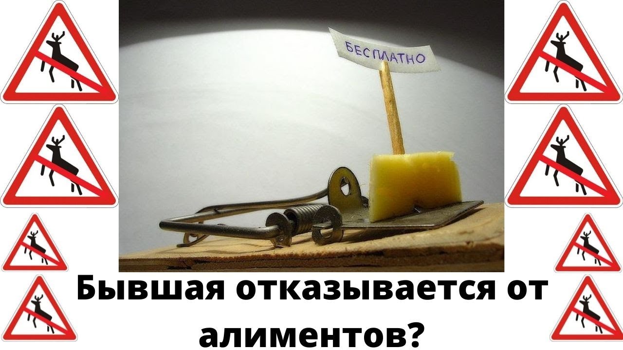 Женщина отказывается от алиментов. Чем это опасно?
