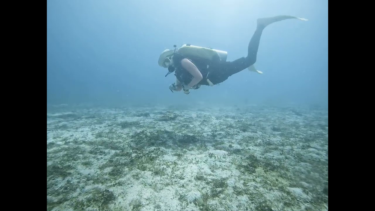 Sabang beach Scuba diving(@dominicann0831 )