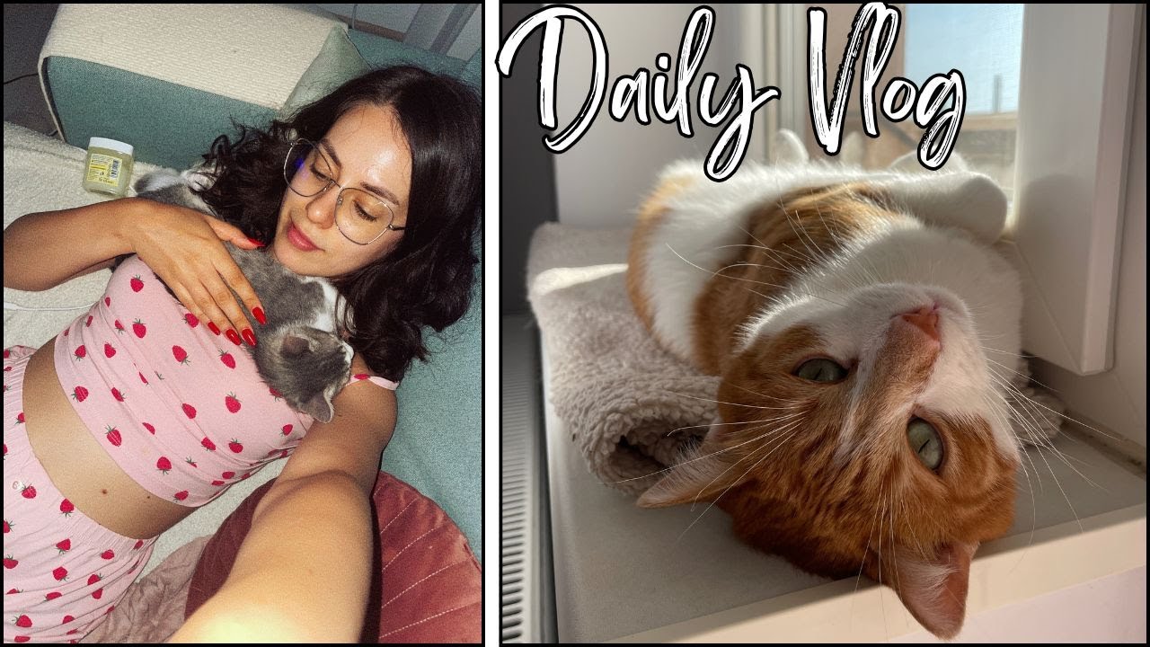 DailyVLOG ❤️ Înapoi în București | Haul Lidl | Simba cade în toaletă